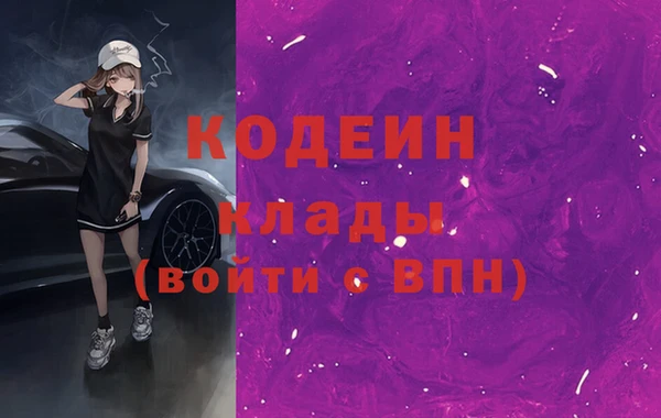 шишки Корсаков