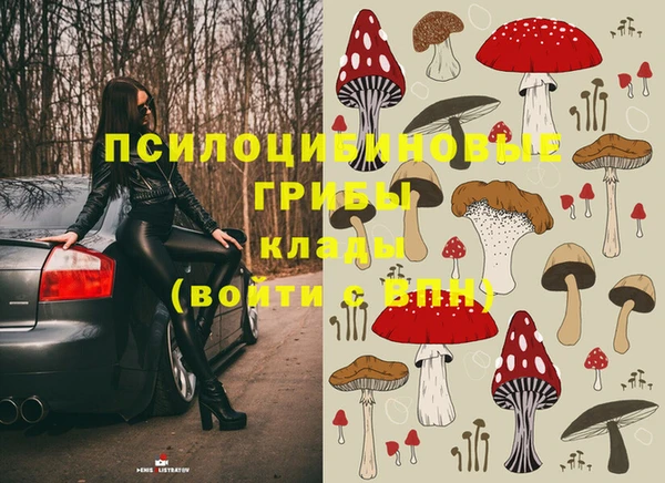 шишки Корсаков