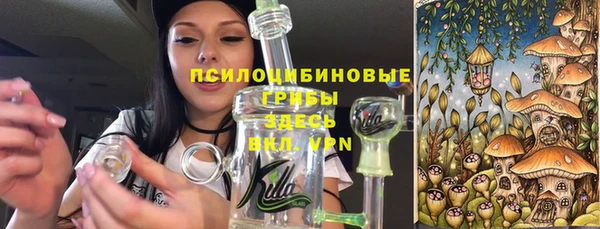 a pvp Коряжма