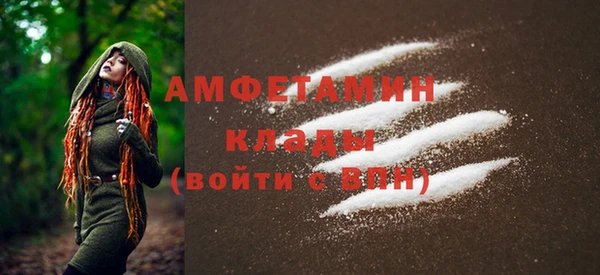шишки Корсаков